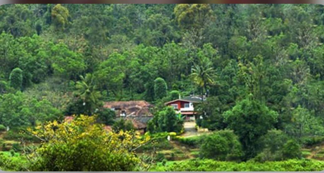Coorg Naladi Holidays Kakkabe Kültér fotó